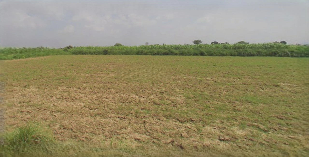 Sri Ganganagar, Rajasthan, India