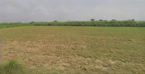 Sri Ganganagar, Rajasthan, India preview 3
