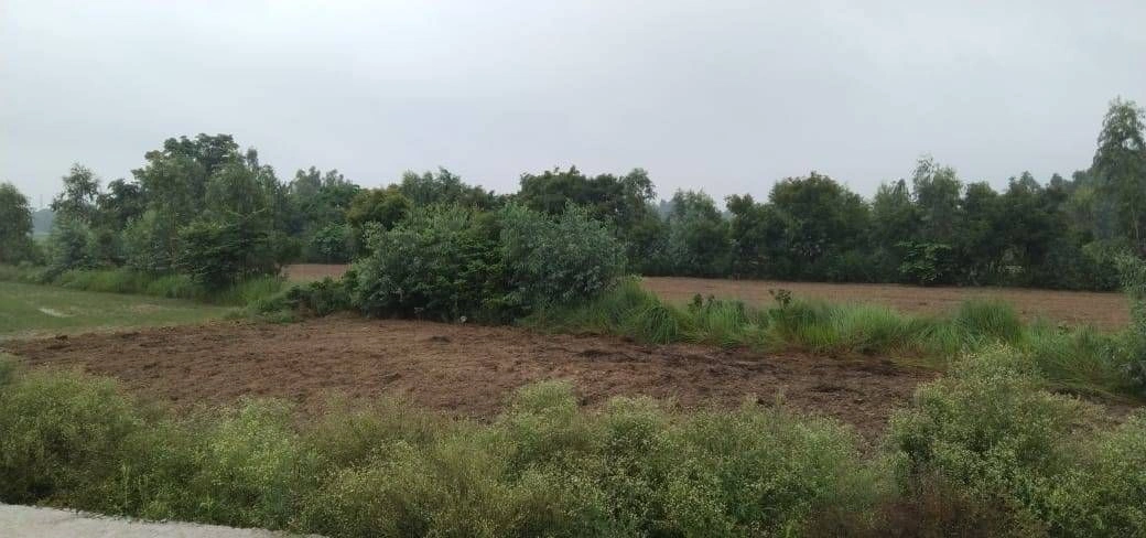 Jattari, Aligarh, Uttar Pradesh 202137, India