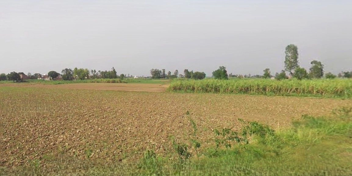 Hasanpur, Uttar Pradesh 244241, India