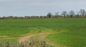 Pipalgone, Madhya Pradesh 451228, India preview 3