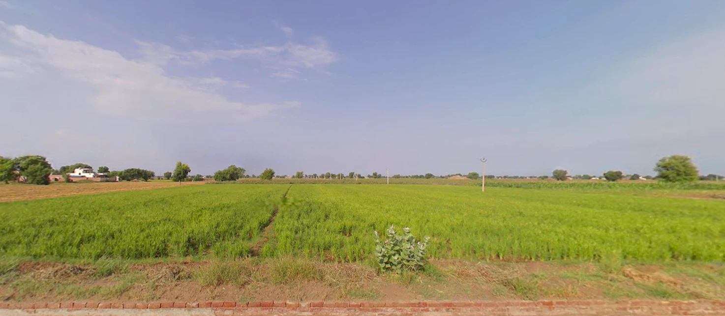 Chautala, Haryana 125101, India