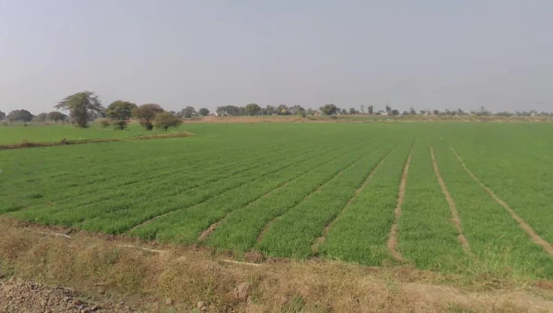 Pithampur, Madhya Pradesh 454331, India preview 2