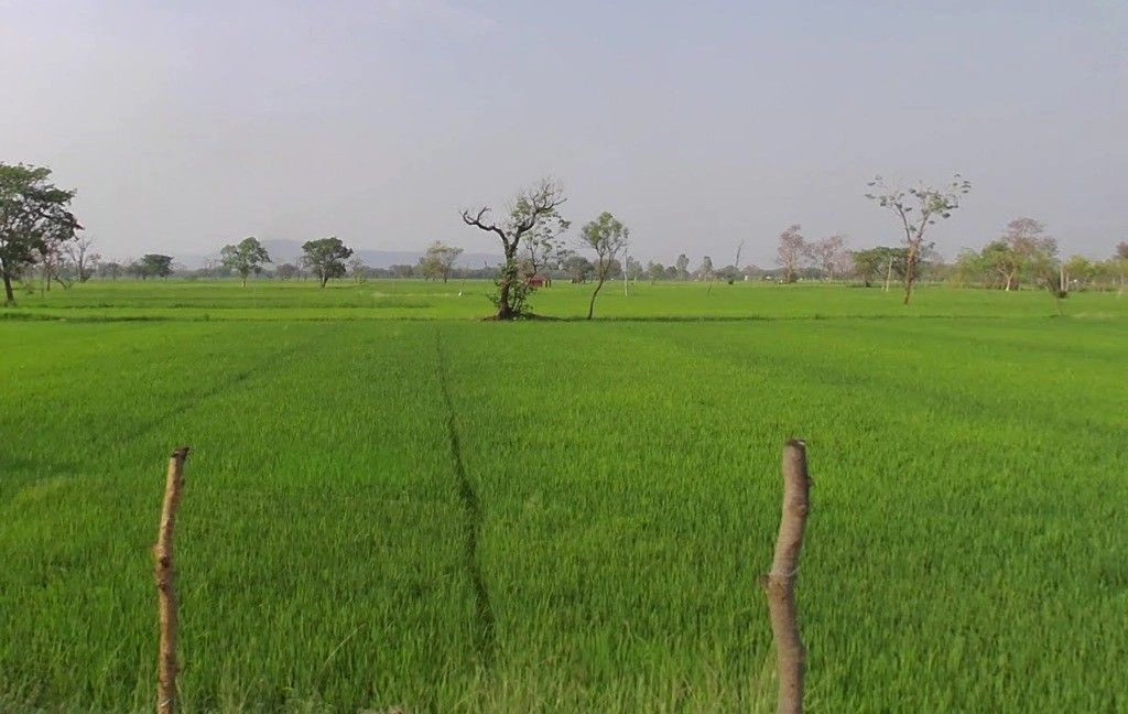 Bikrampur, Chhattisgarh, India preview 3