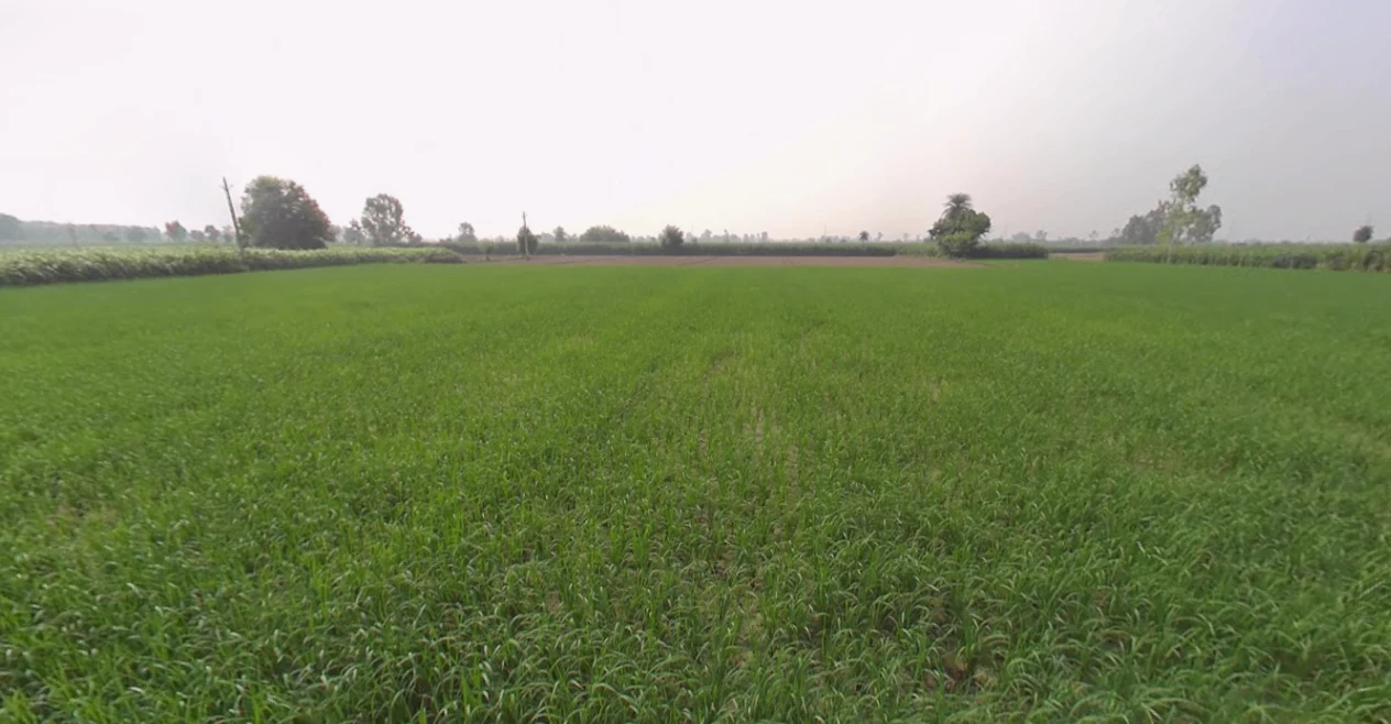 Banda, Uttar Pradesh 210001, India preview 2