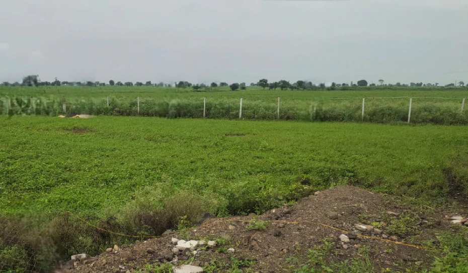 Rampur, Uttar Pradesh, India