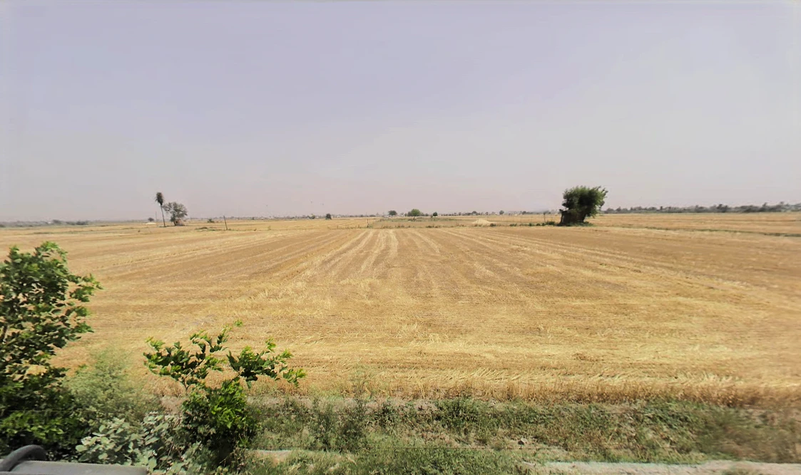 Sector 87, Neharpar Faridabad, Faridabad, Haryana 121014, India