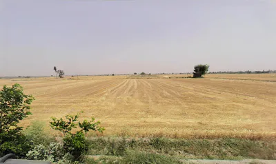 Sector 87, Neharpar Faridabad, Faridabad, Haryana 121014, India preview 3