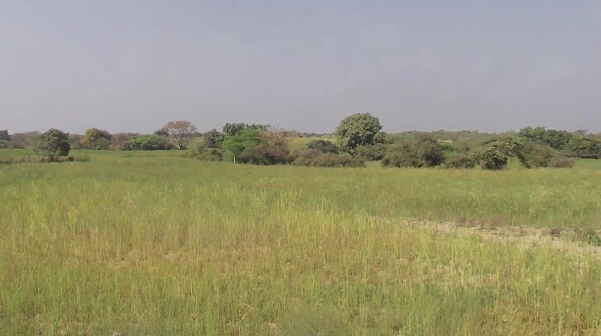 Udaipura, Madhya Pradesh 464770, India