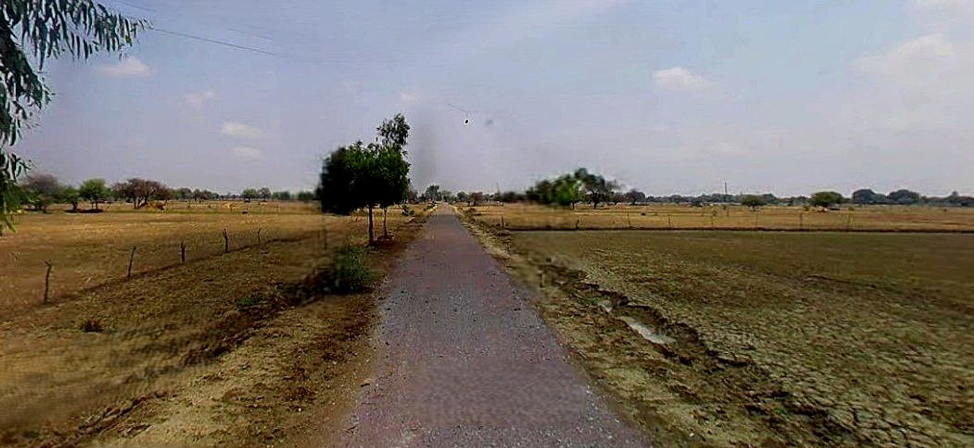 Jhusi, Uttar Pradesh 211019, India