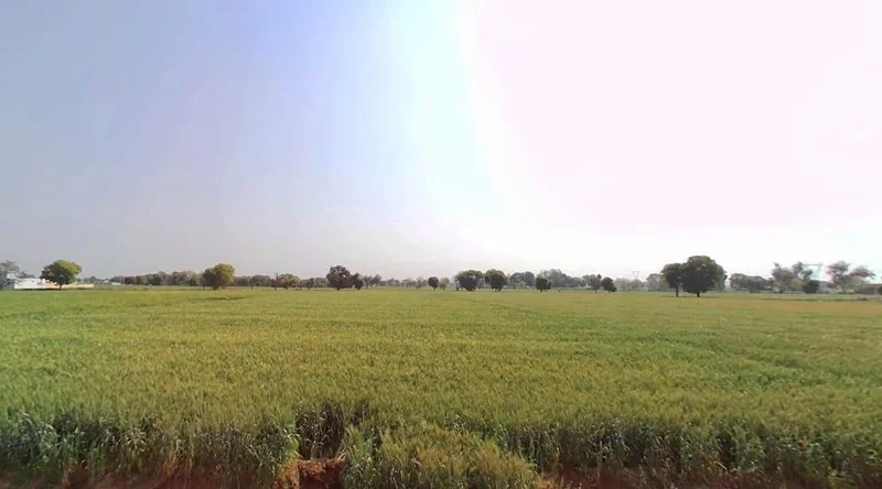 Kherli, Rajasthan 321606, India preview 3