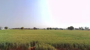 Kherli, Rajasthan 321606, India preview 3