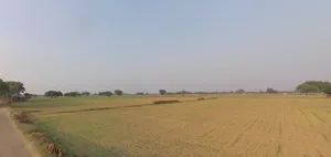Bhanipura, Rajasthan 331411, India preview 2