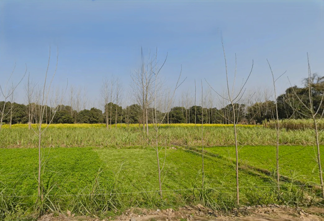 Pilkhani, Uttar Pradesh 247451, India