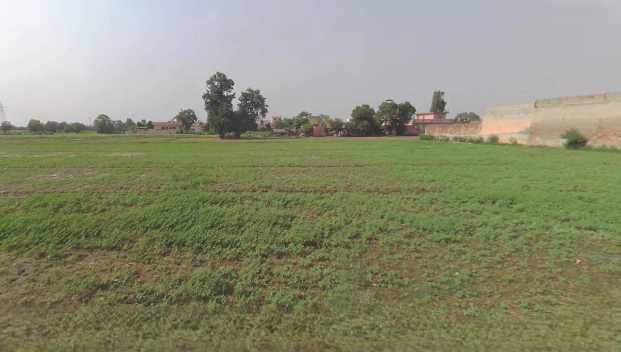 Dakoha, Rama Mandi, Jalandhar, Punjab 144005, India