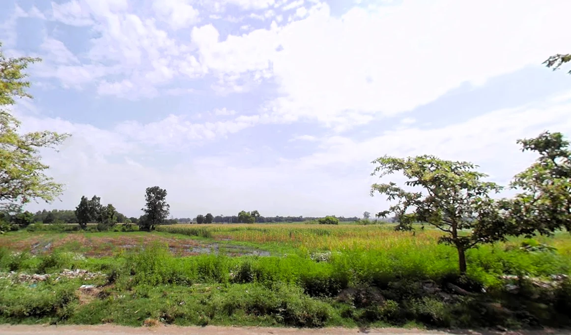 Naraingarh, Haryana 134203, India