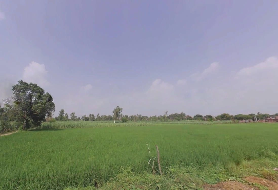 5JFC+MRQ, Jhitkari, Uttar Pradesh 250342, India preview 2