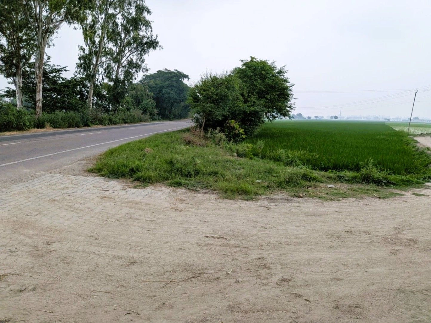 HMGR+WGX, Karnal, Thari, Haryana, India