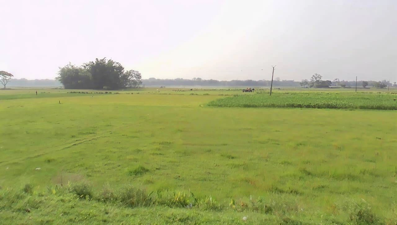 783W+3HV, Morigaon, Assam 782105, India