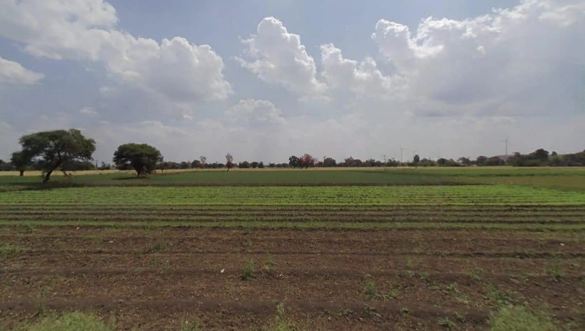 Nichroli, Madhya Pradesh 475661, India