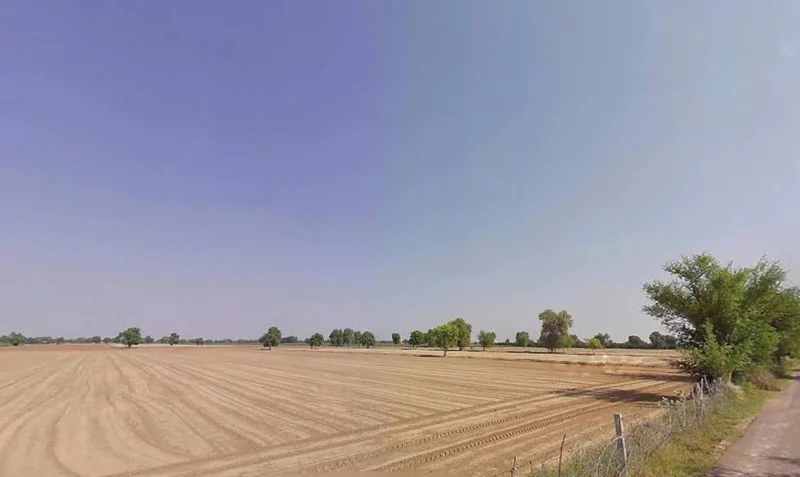 Sardarpura Jeevan, Rajasthan 335037, India preview 2