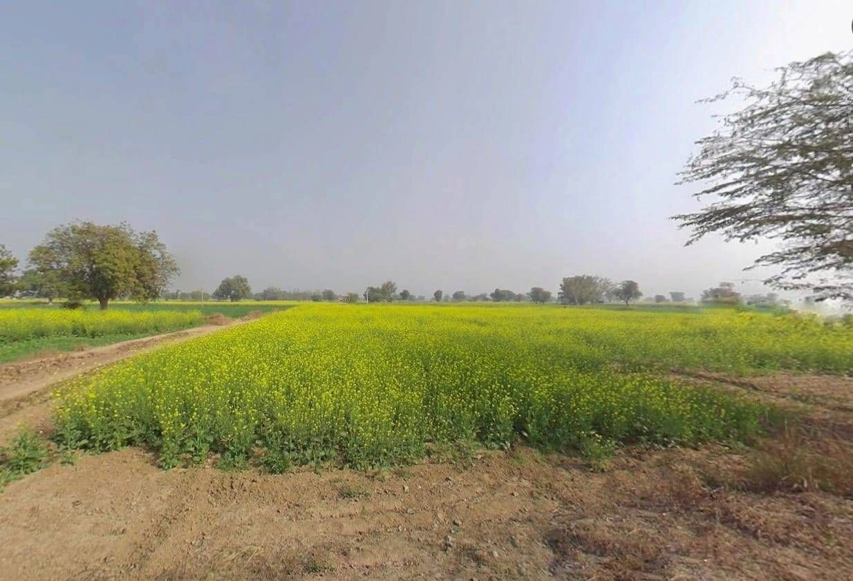 9R6C+433, Maujpur, Rajasthan 321633, India