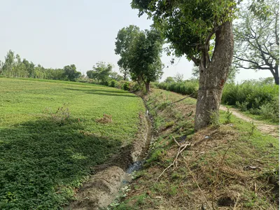 Ulaheri, Rajasthan 301407, India preview 2