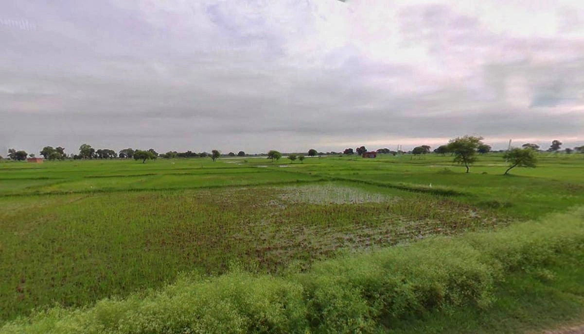 Baund Kalan, Haryana 127025, India