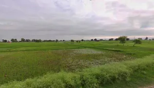 Baund Kalan, Haryana 127025, India preview 3