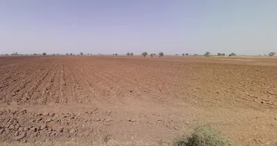 Shringarpur, Maharashtra 415610, India preview 3