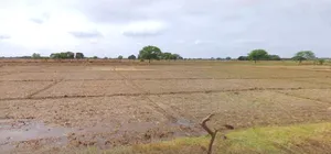 Budaun, Uttar Pradesh 243601, India preview 2