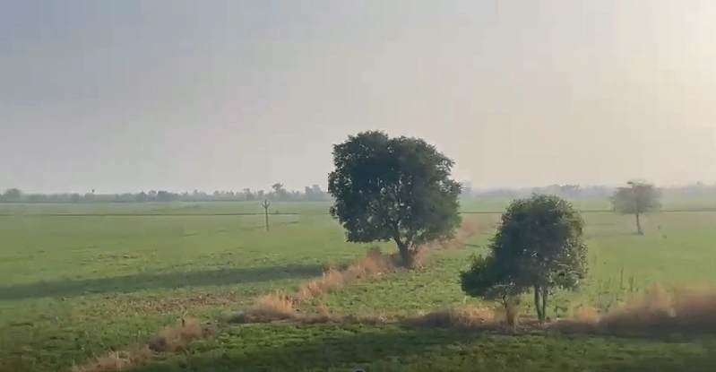 Barigarh, Chhatarpur, Madhya Pradesh 471510, India