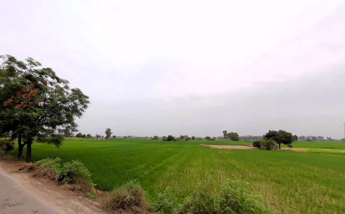 Rajound, Haryana 136044, India