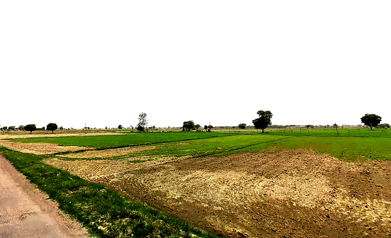 Pataudi, Haryana 122503, India preview 2