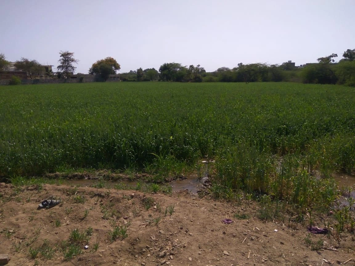 CJX4+9CC, Bhilwara, Mali Khera, Rajasthan, India