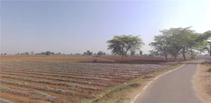 Shertha, Gujarat, India