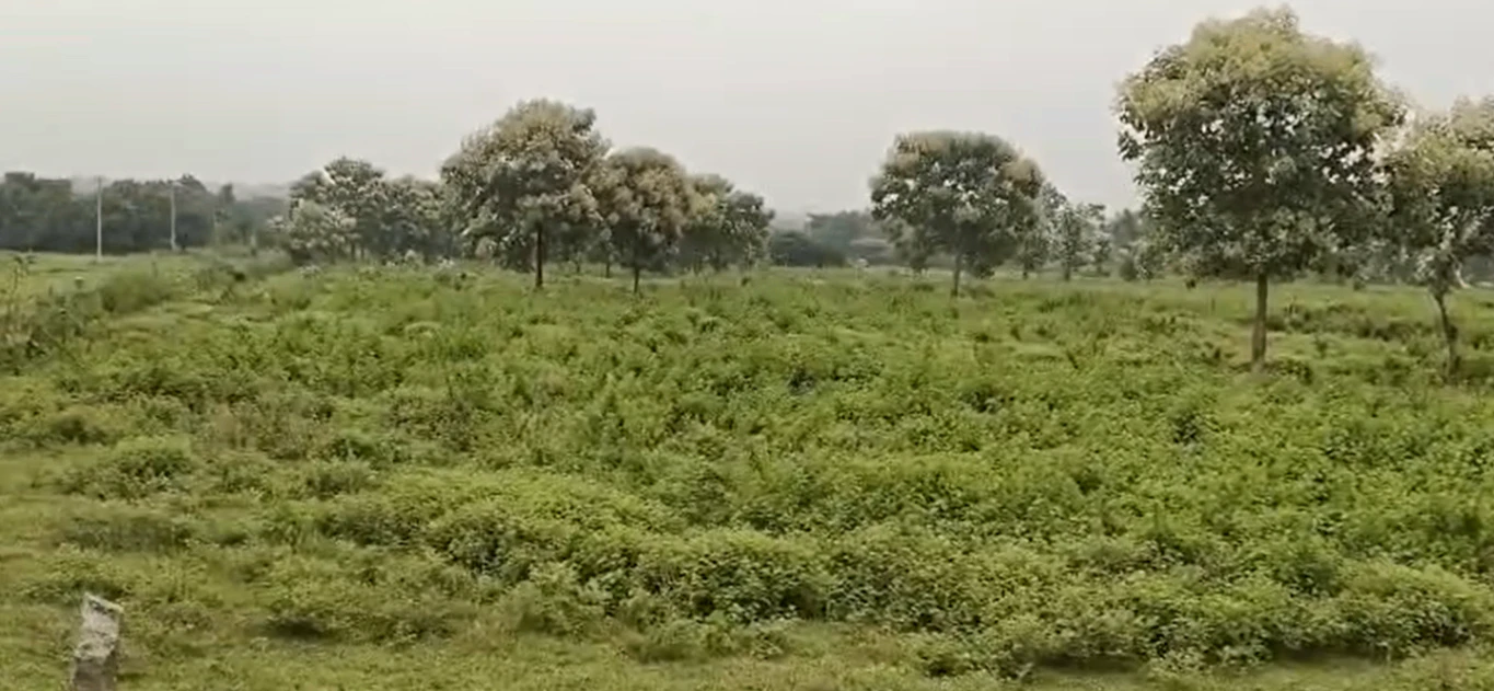 RFWG+6CR, Medak, 5, Toopran Rd, Tupran, Telangana 502334, India