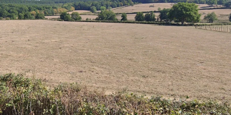 Barghat, Madhya Pradesh 480667, India preview 2