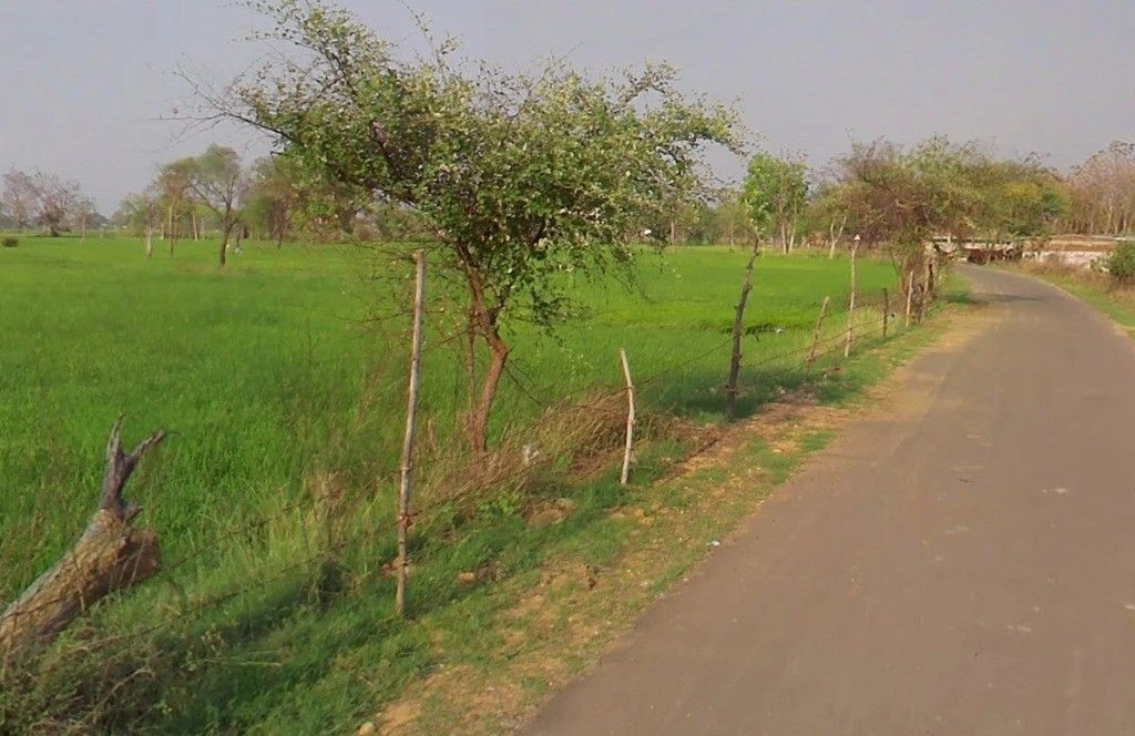 Chhechhar, Chhattisgarh 493344, India