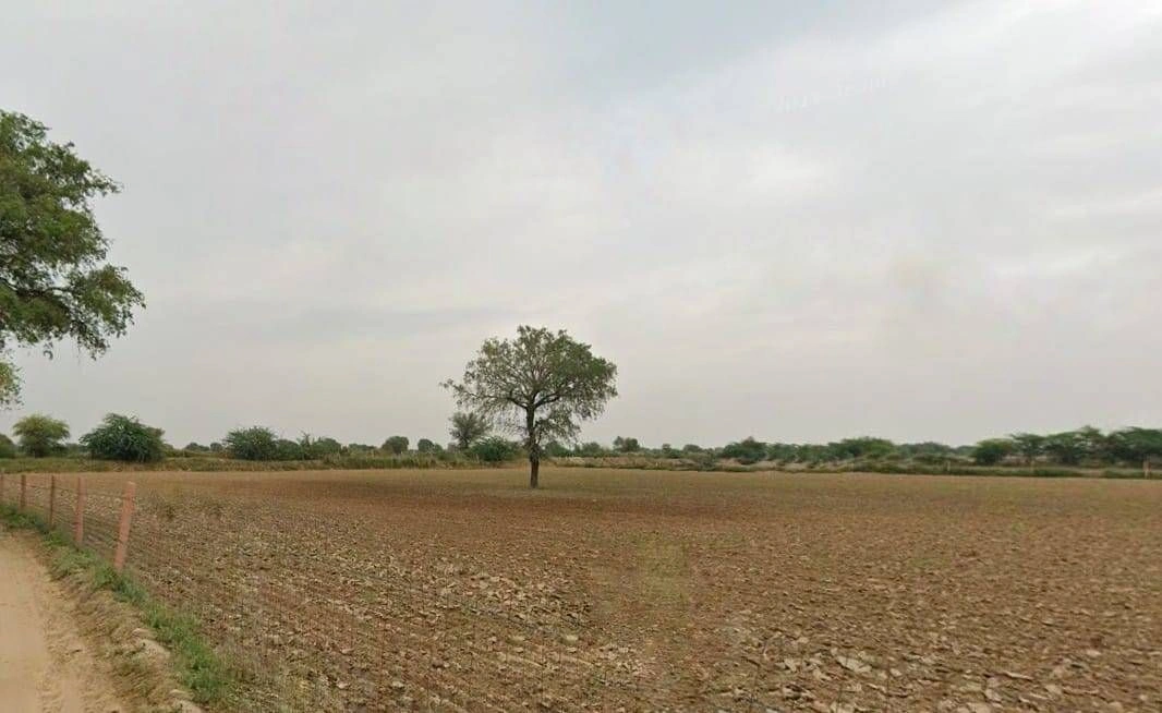V5RM+GM, Bandai, Rajasthan 306421, India