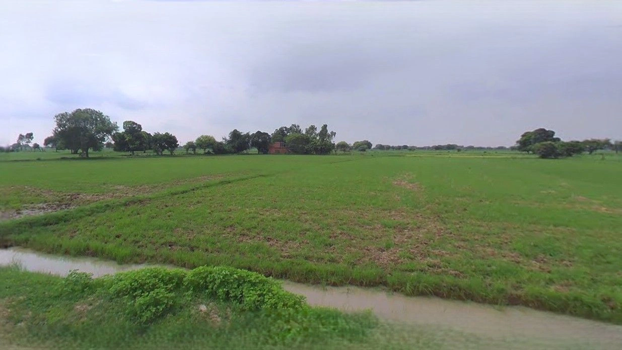 Sampla, Haryana 124501, India