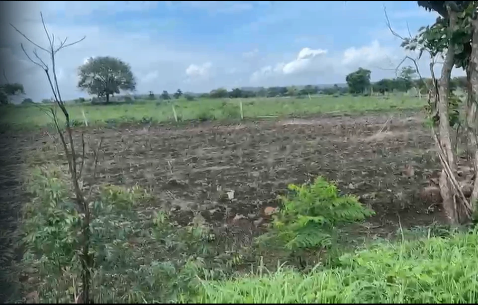 9PMW+PGM, Vikarabad, Tandur - Mominpet Rd, Kotpalli, Telangana 501106, India