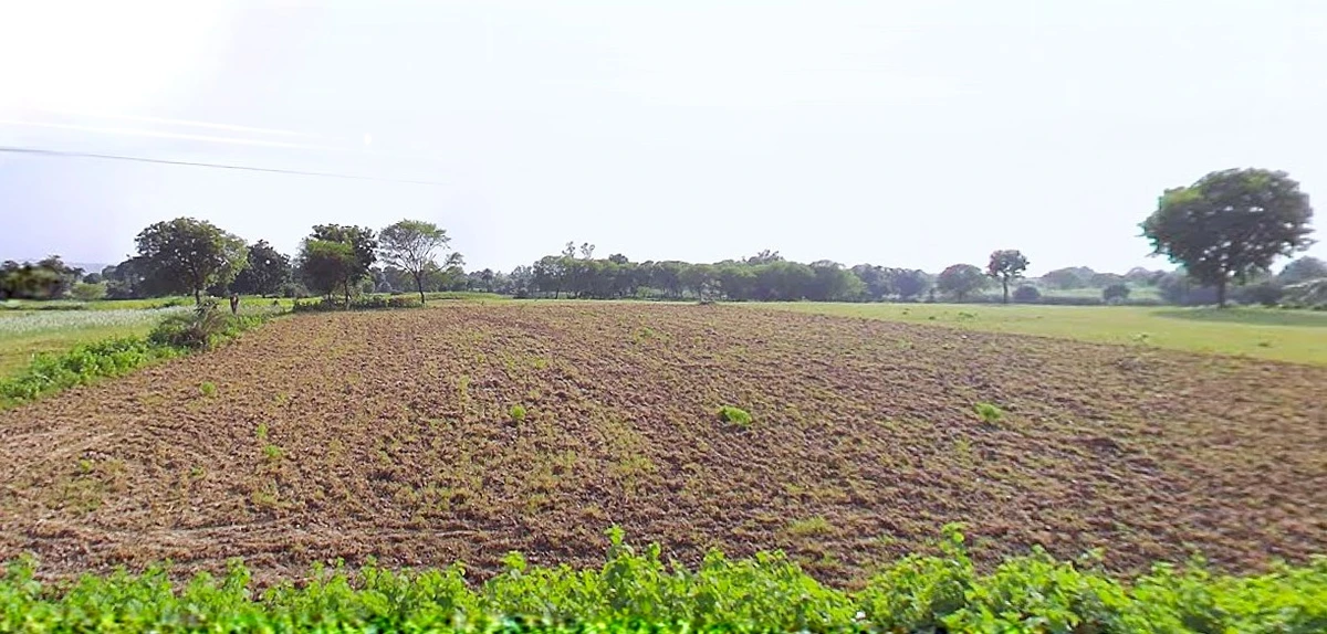 Bijnor, Uttar Pradesh 246701, India