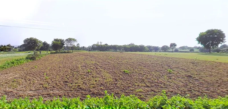 Bijnor, Uttar Pradesh 246701, India preview 3