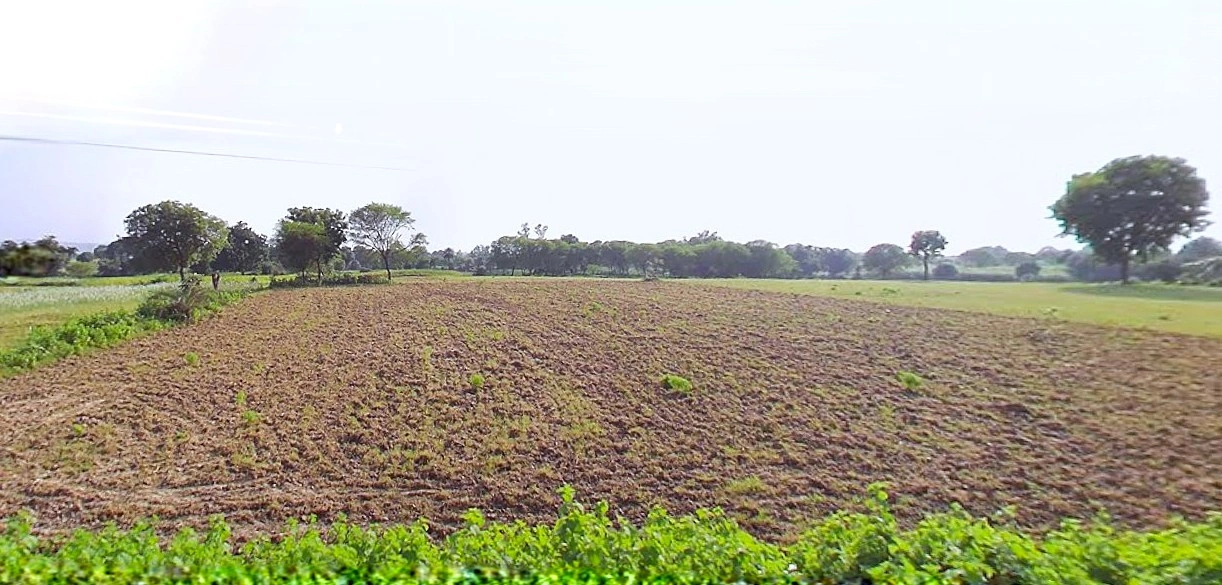 Bijnor, Uttar Pradesh 246701, India