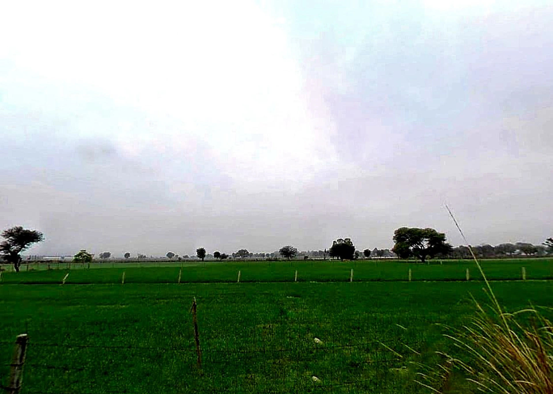 XGJ2+P2C, Bassi Naaga, Rajasthan 303124, India