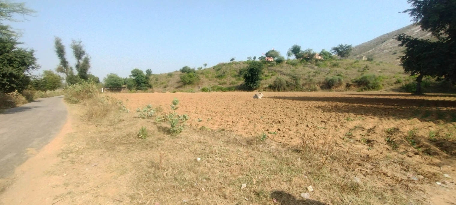 Kerwawal, Rajasthan, India