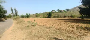 Kerwawal, Rajasthan, India preview 4