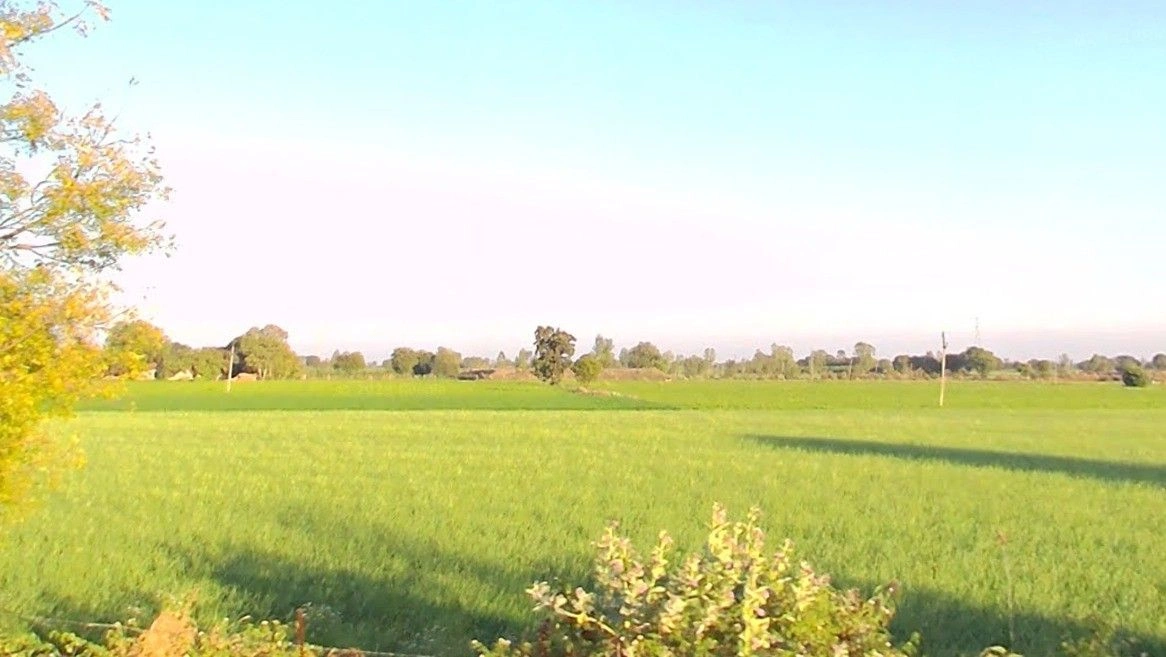 Gopalpura, Madhya Pradesh 475673, India