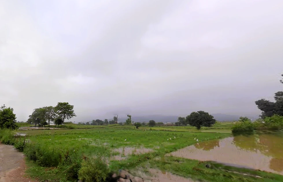 Shyampur, Uttarakhand 249408, India